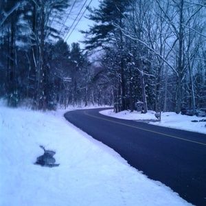 Meet your Posher, Steven